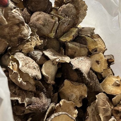 包邮2023大片香菇菜菇干香菇干蘑菇产地直供大片香菇蘑菇干