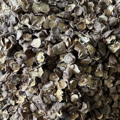 包邮2023大片香菇菜菇干香菇干蘑菇产地直供大片香菇蘑菇干图5