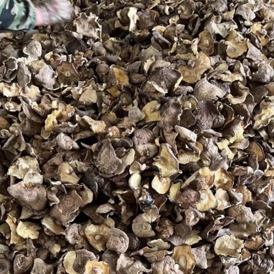 包邮2023大片香菇菜菇干香菇干蘑菇产地直供大片香菇蘑菇干图3