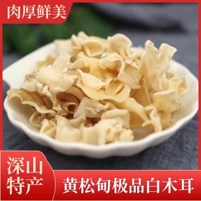 （2023新货）白玉木耳吉林特级无根银耳500克椴木小碗耳 干货白木