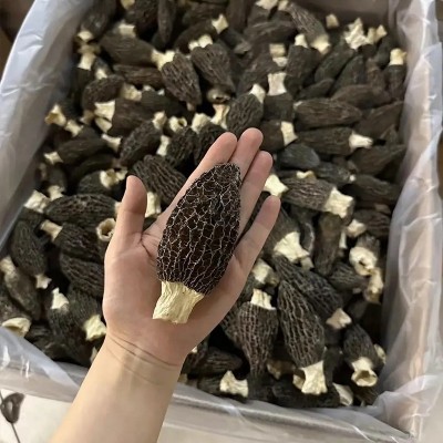 羊肚菌干货云南原产地便宜羊肚菌干菌一件代发规格齐全批发图3