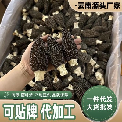 羊肚菌干货云南原产地便宜羊肚菌干菌一件代发规格齐全批发