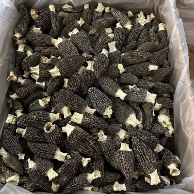 羊肚菌干货云南原产地便宜羊肚菌干菌一件代发规格齐全批发图4