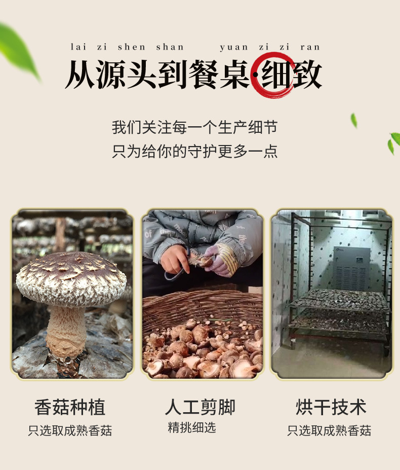 香菇详情_08