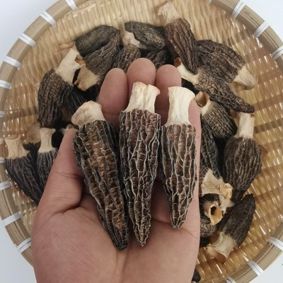 羊肚菌干货250g河南菌特产新鲜羊肚菇干蘑菇菌菇牛肚菌菌类煲汤料