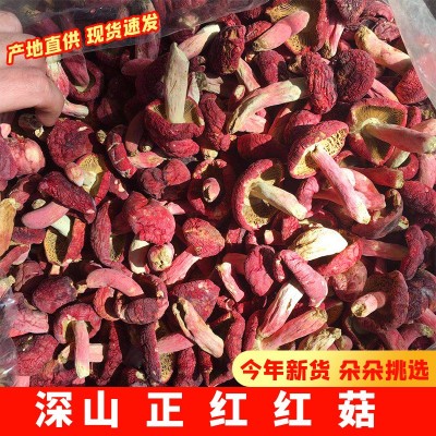 红菇红香菌河南特产红椎菌伏牛山大红菌500g红蘑菇干货月子菇滋补