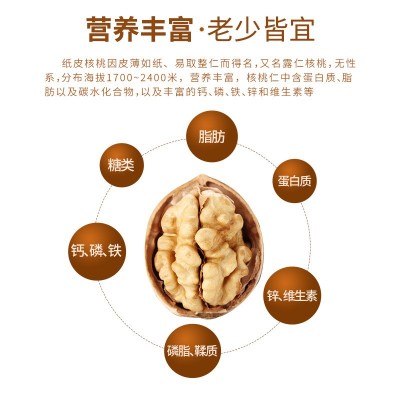 新会特产食品罐装陈皮核桃 香脆休闲坚果送礼佳品纸皮核桃批发图2