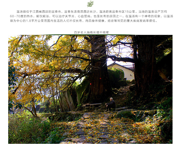 长寿之乡_05