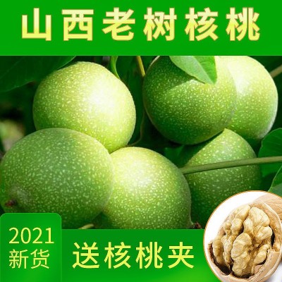 2021新货山西老树核桃汾阳农家特产3斤5斤孕妇儿童干核桃散装干果图2