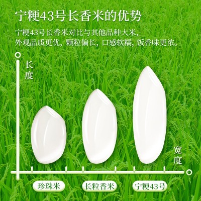 昊帅昊帅宁粳43号大米5kg长粒香大米 一年一季宁夏大米颗粒饱满10图3