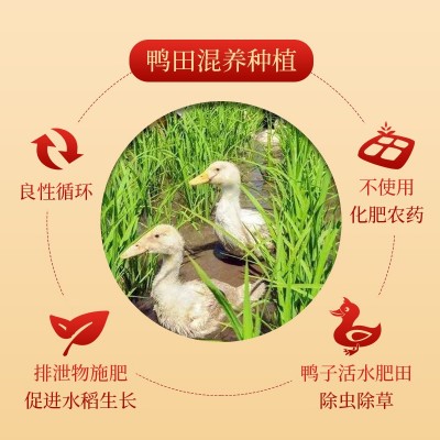 2022年新米上市 昊帅长粒香大米一年一季宁夏大米虎虎生威系列5kg图3