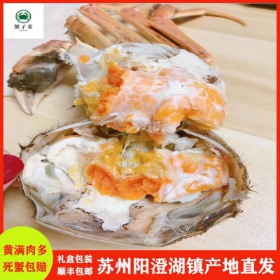 阳澄湖镇大闸蟹4.0两母5.0两公 10个装1888型1088元 螃蟹中秋送礼图3