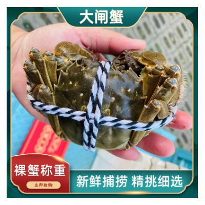10只装特大现货大闸蟹鲜活螃蟹阳澄湖镇蟹子莱清水河蟹礼盒