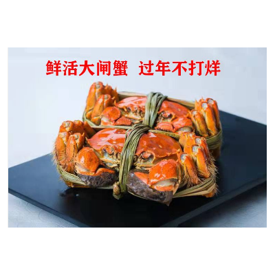 中秋鲜活精品大闸蟹礼盒装全国空运包邮过年不打烊品质保证3699型