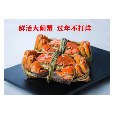 中秋鲜活精品大闸蟹礼盒装全国空运包邮过年不打烊品质保证3699型图2