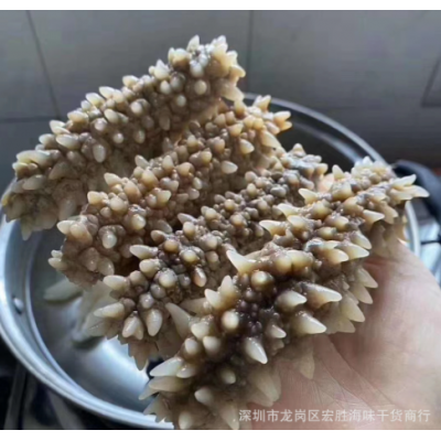 白刺王参 深海黑刺参黄玉参批发淡干海参干货 50-60头