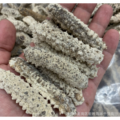 白刺王参 深海黑刺参黄玉参批发淡干海参干货 50-60头图4
