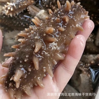 日本北海道关东参日本关东刺参日本辽刺参 淡干海参干货图3