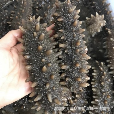 日本北海道关东参日本关东刺参日本辽刺参 淡干海参干货