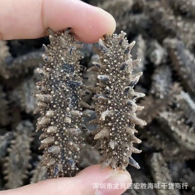 日本北海道关东参日本关东刺参日本辽刺参 淡干海参干货图2