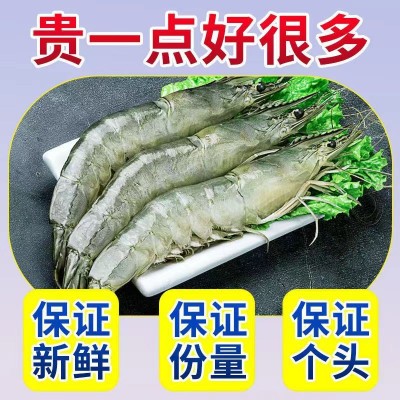 青岛大虾特大鲜活基围虾新鲜海虾盐冻虾整箱海水虾海鲜批发图2
