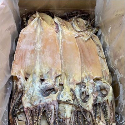 阿根廷鱿鱼干淡干鱿鱼干货海鲜地摊干货批发手撕芥末大鱿鱼图2