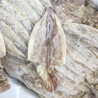 烧烤手撕大鱿鱼干圆鱿芥末北海特产A2淡干海产干货特产散装批发图3