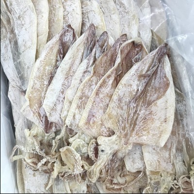 烧烤手撕大鱿鱼干圆鱿芥末北海特产A2淡干海产干货特产散装批发图2
