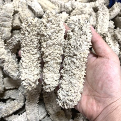 一德路财记马尔代夫黄玉参 带刺辽参刺参海参干货厂家批发代发图3
