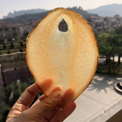 靓货响螺片红螺片花螺片油螺片香螺片干货煲汤厂家批发一件代发图5