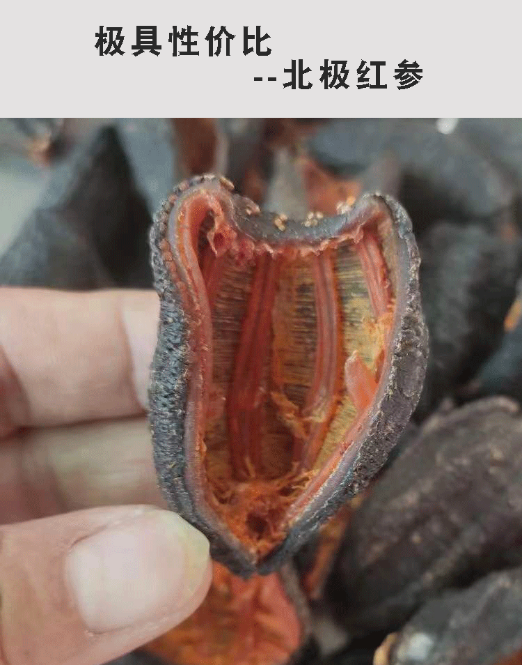 未标题-1_01.gif