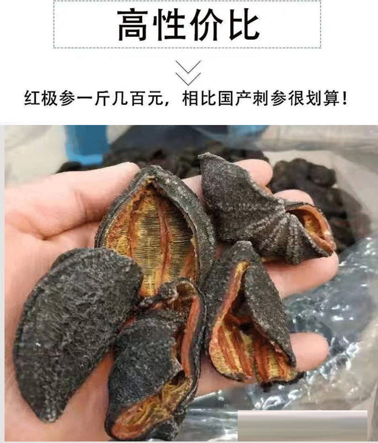 未标题-1_04.gif