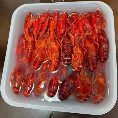 456钱清水原味冷冻盱眙小龙虾龙虾馆餐饮冷冻食材整只虾冷冻原味图4