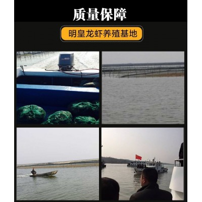 789鲜活盱眙生虾小龙虾5斤装鲜活水产养殖清水小龙虾鲜活小龙虾图2