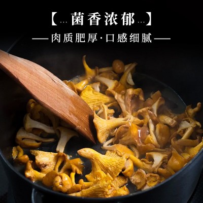 鸡油菌 云南菌菇批发榆黄菇食用菌干货工厂直发黄丝菌分销图2