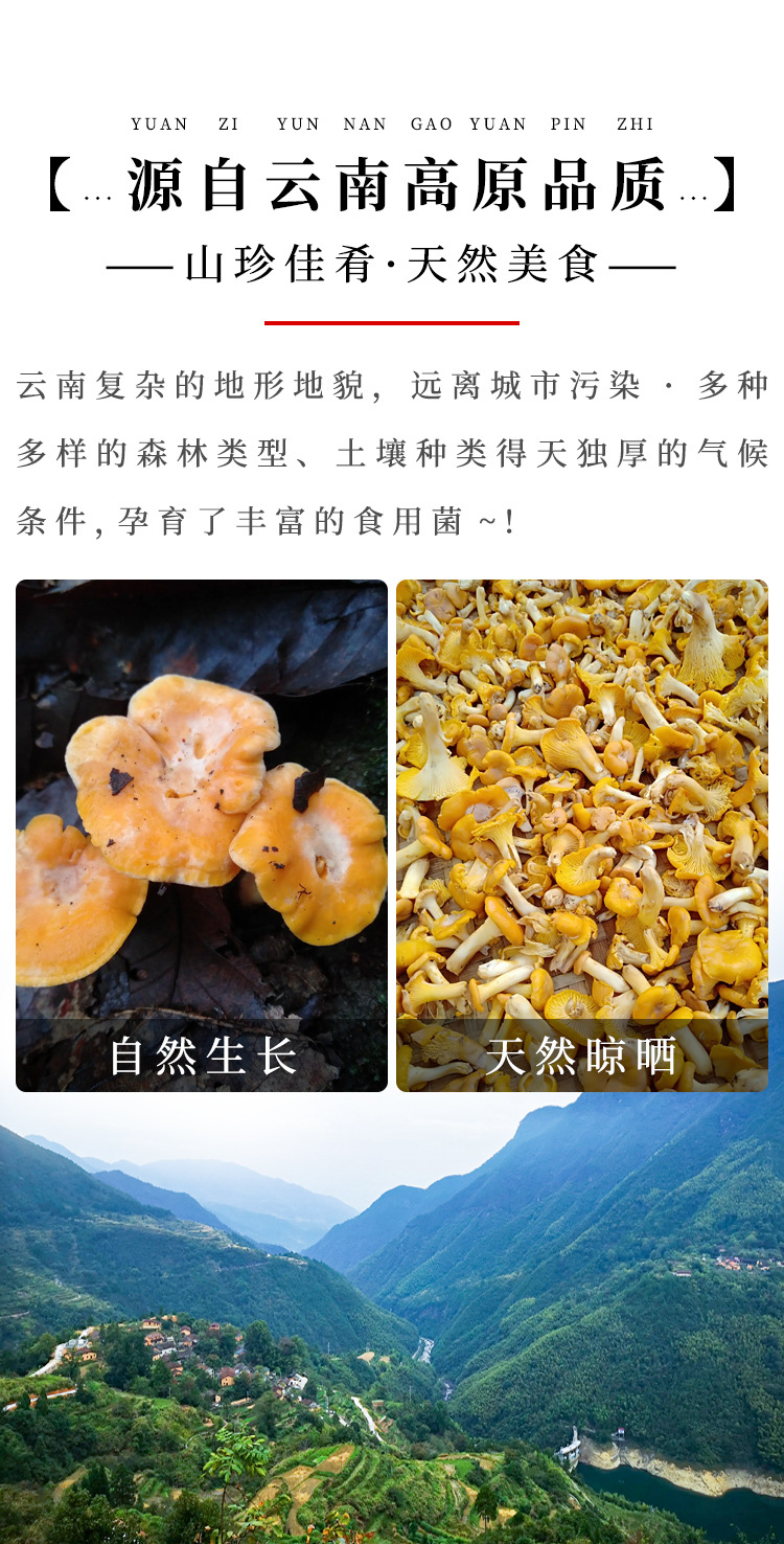 详情页_02.jpg