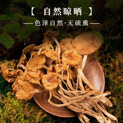 茶树菇 未开伞农产品南北干货散装食用菌厂家大货批发煲汤火锅图3