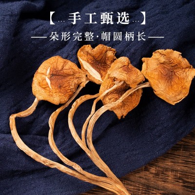 茶树菇 未开伞农产品南北干货散装食用菌厂家大货批发煲汤火锅图4