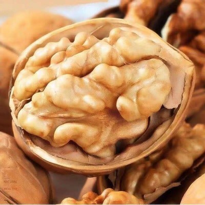 新疆纸皮核桃大量批发500g 新货手剥坚果核桃学生零食薄皮生核桃图3