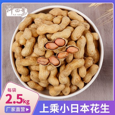 生货小日本生花生散装原味花生小日本小粒花生 休闲食品厂家直售