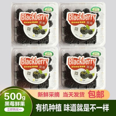 德蕾有机树莓鲜果当天采摘发货一斤起发图4