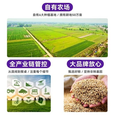 厂家批发红豆 农家自产红小豆珍珠粒小红豆 真空袋装非赤小豆图4