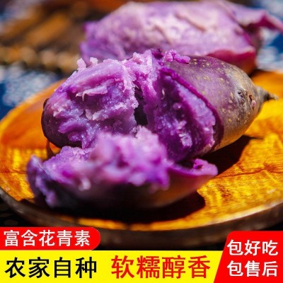 黑土豆新鲜蔬菜黑金刚乌洋芋紫色马铃薯紫黑花青素土豆批发5斤图4