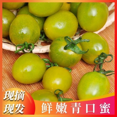 青口蜜圣女果绿色小番茄新鲜绿千禧超甜即食小柿子孕妇生吃4斤图5