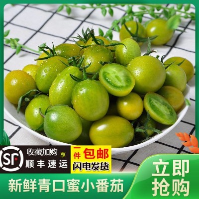青口蜜圣女果绿色小番茄新鲜绿千禧超甜即食小柿子孕妇生吃4斤图2