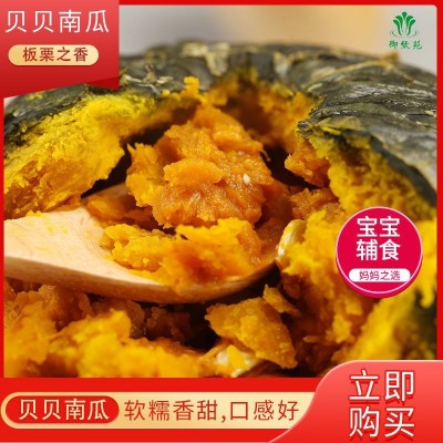 板栗南瓜甜南瓜贝贝小南瓜甜糯老南瓜整箱新鲜蔬菜批发图4