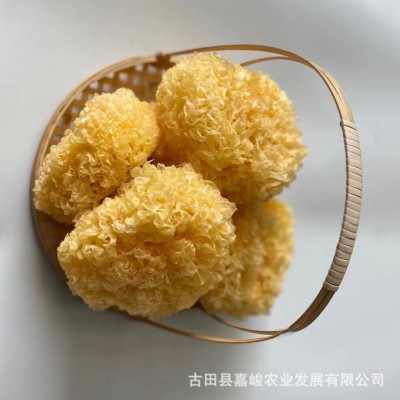 古田银耳干货批发白木耳雪耳糯耳500g丑耳银耳莲子羹材料产地直发图3