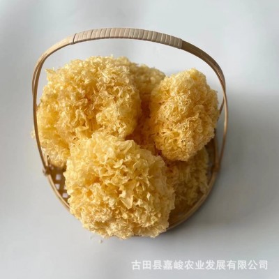 古田银耳干货批发白木耳雪耳糯耳500g丑耳银耳莲子羹材料产地直发图2
