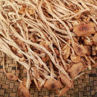 福建古田特产不开伞茶树菇蘑菇菌菇食用菌煲汤炒厂家直销一件代发图2