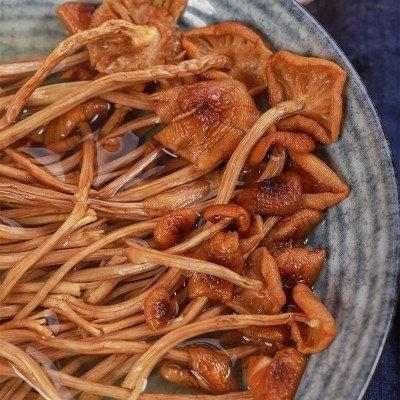 福建古田特产不开伞茶树菇蘑菇菌菇食用菌煲汤炒厂家直销一件代发图4